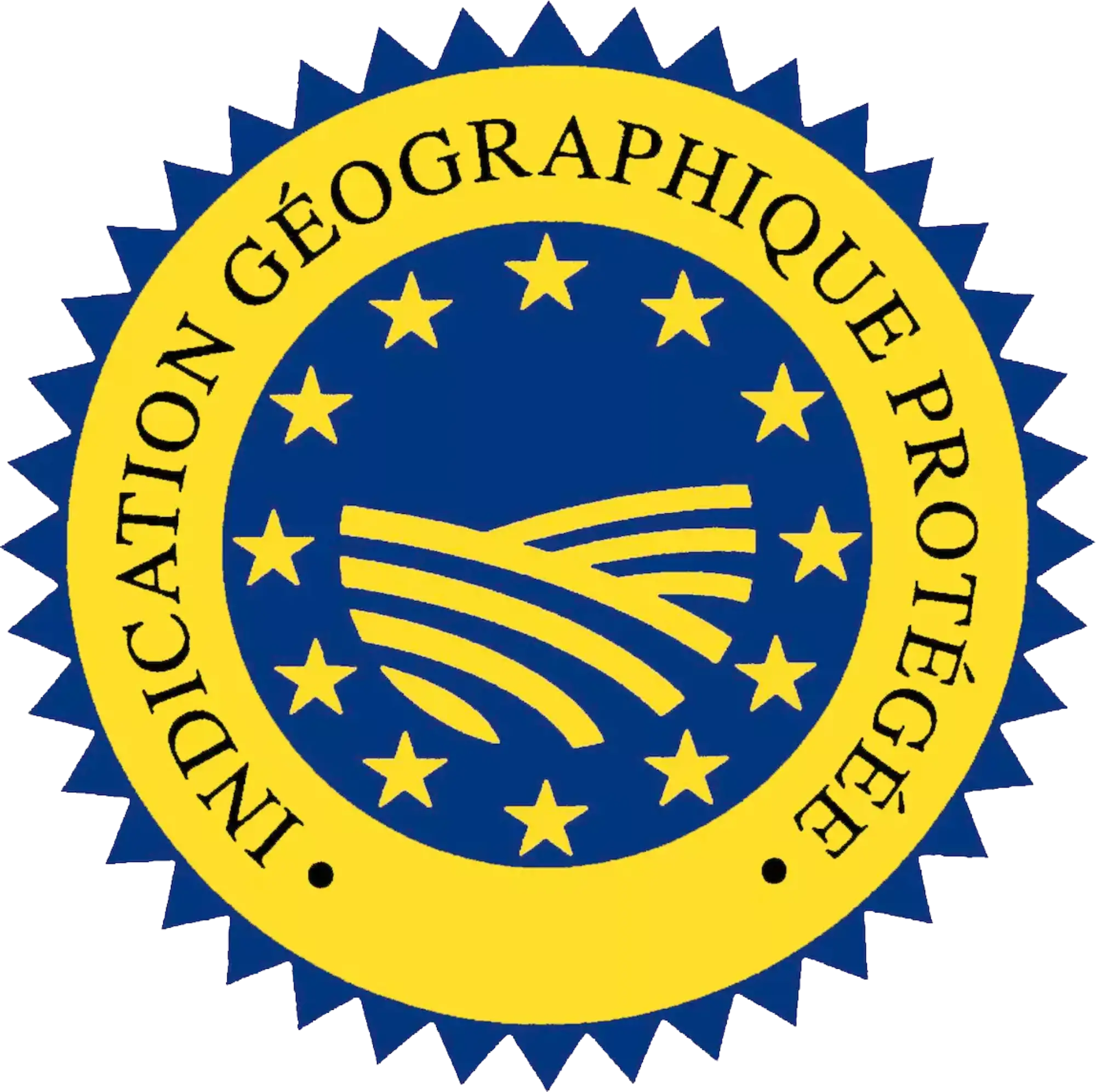 Logo igp