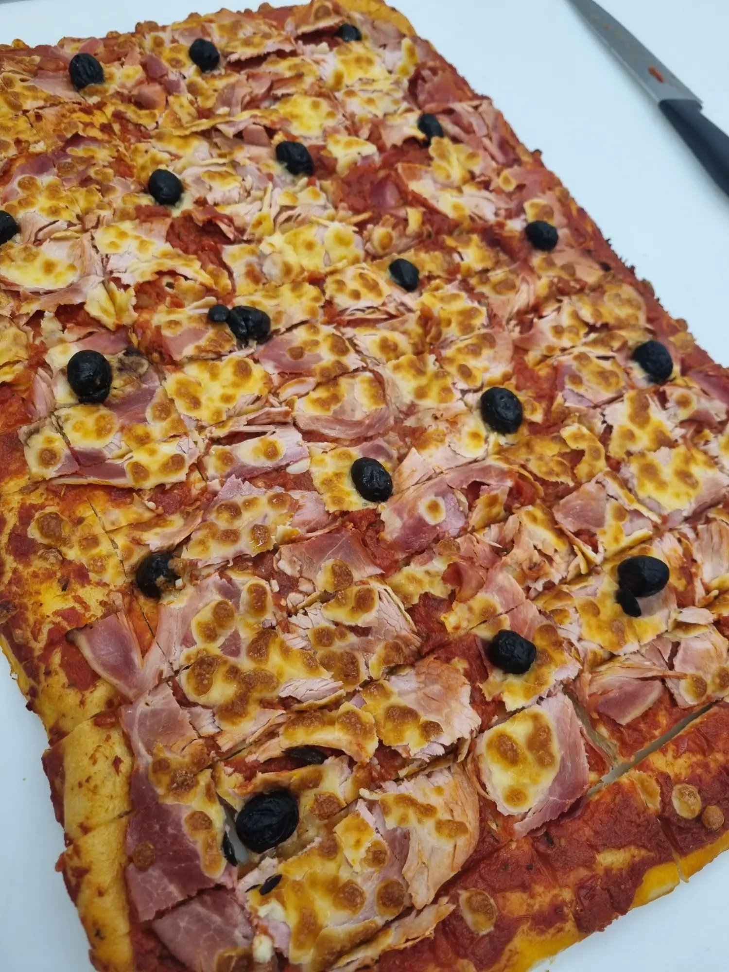plaques de pizzas 90 morceaux (2)